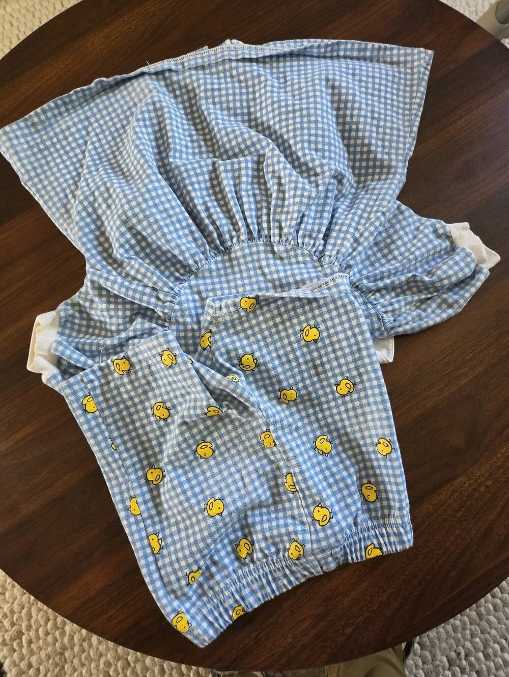 Vintage City Kids Blue Gingham Chicken & Duckling Outfit Set 2PC Top Shorts 24M
